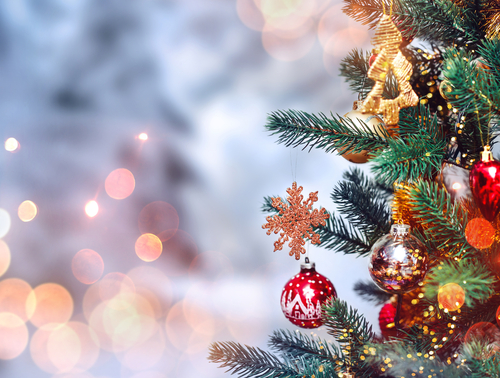 IDe+ - A história da árvore de Natal e seu significado IDe+ - A história da árvore de Natal e seu significado