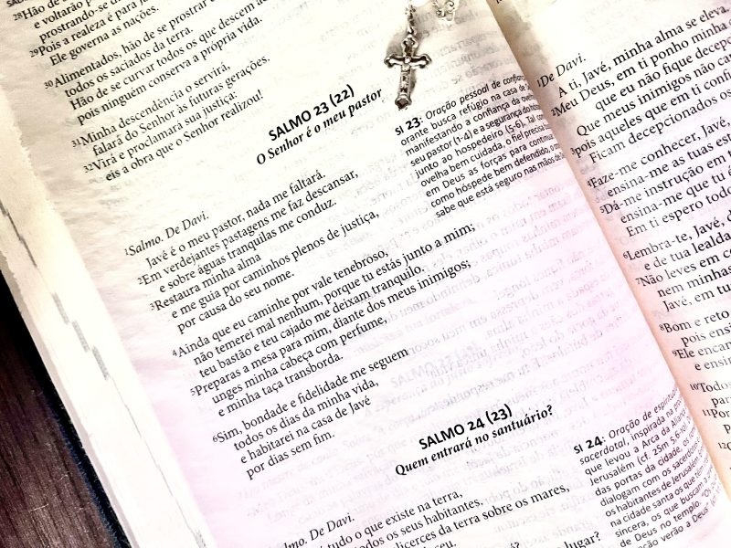 Salmo 23: significado e leitura guiada