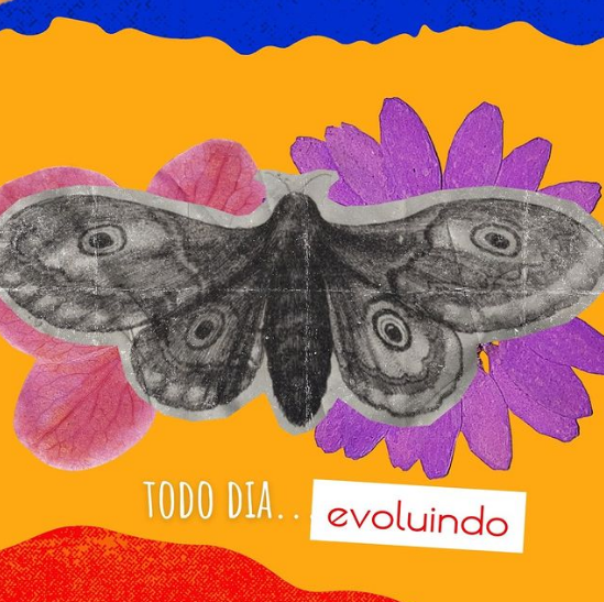 Arte digital com borboleta e frase Evoluindo Todo Dia