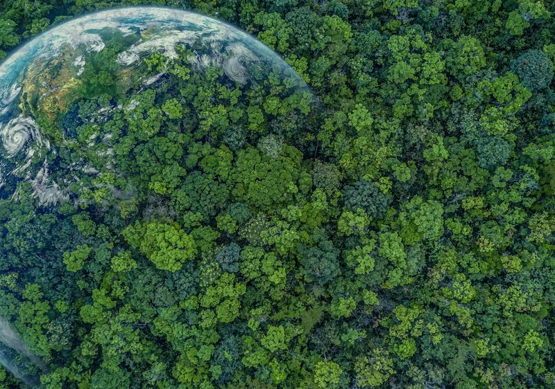 Ladauto Si’: Reflexões do Papa Francisco sobre o Meio Ambiente