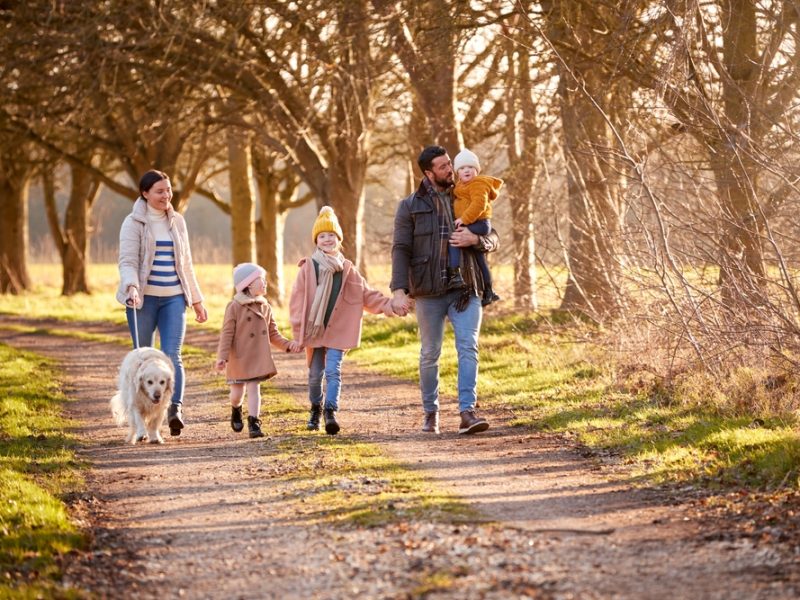 É tempo de férias! 10 atividades para fazer com os filhos e espantar o tédio