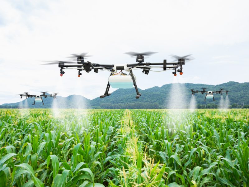 A evolução do agro para além da produção rural