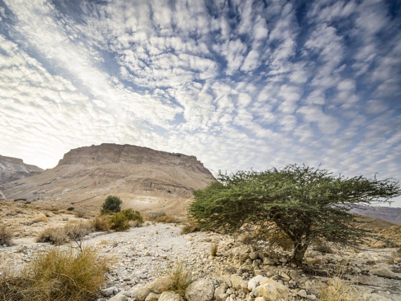 Conheça o Deserto da Judeia, onde Jesus passou 40 dias e 40 noites